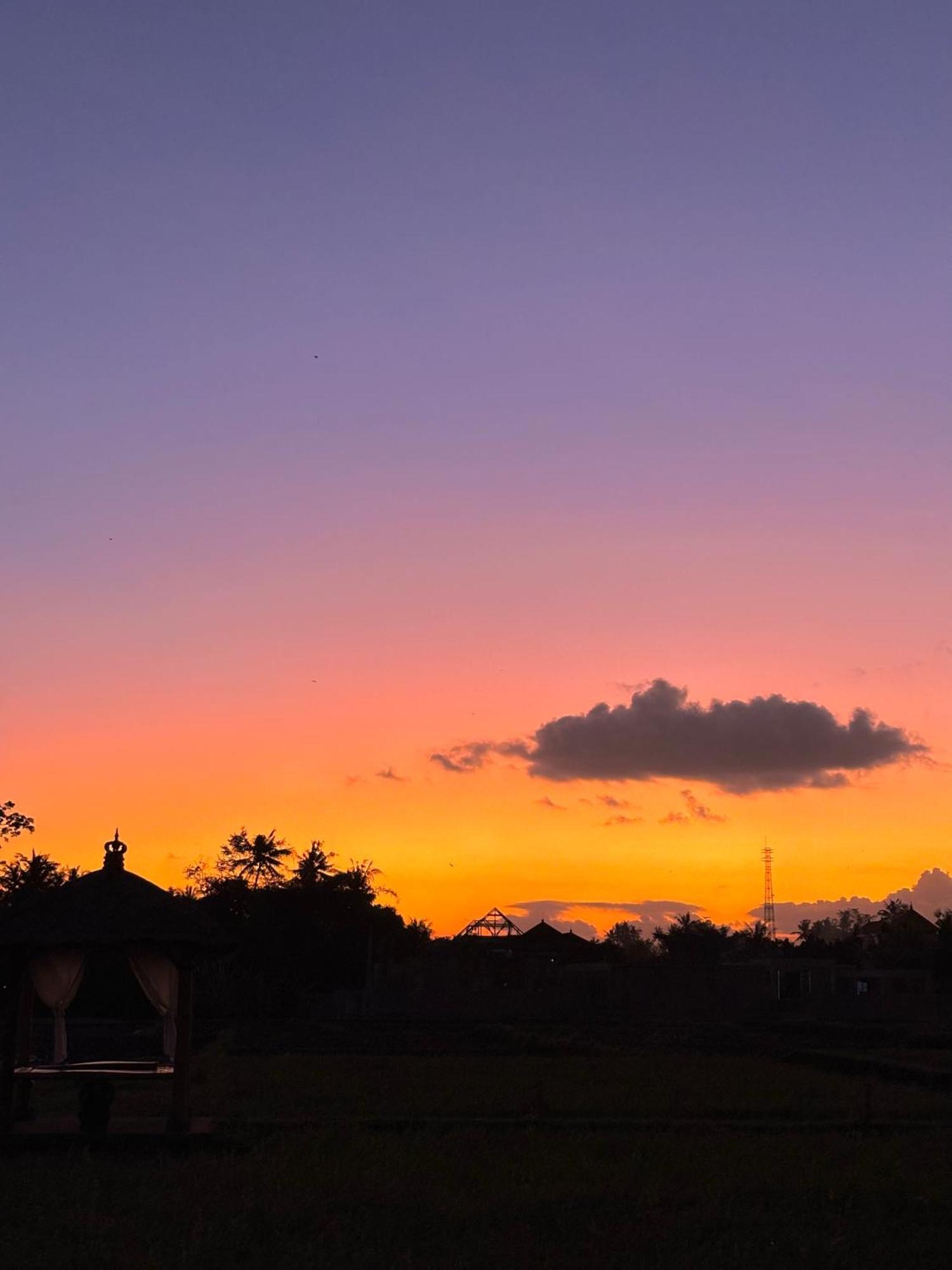 Rumah Kita Ecolodge ウブド エクステリア 写真