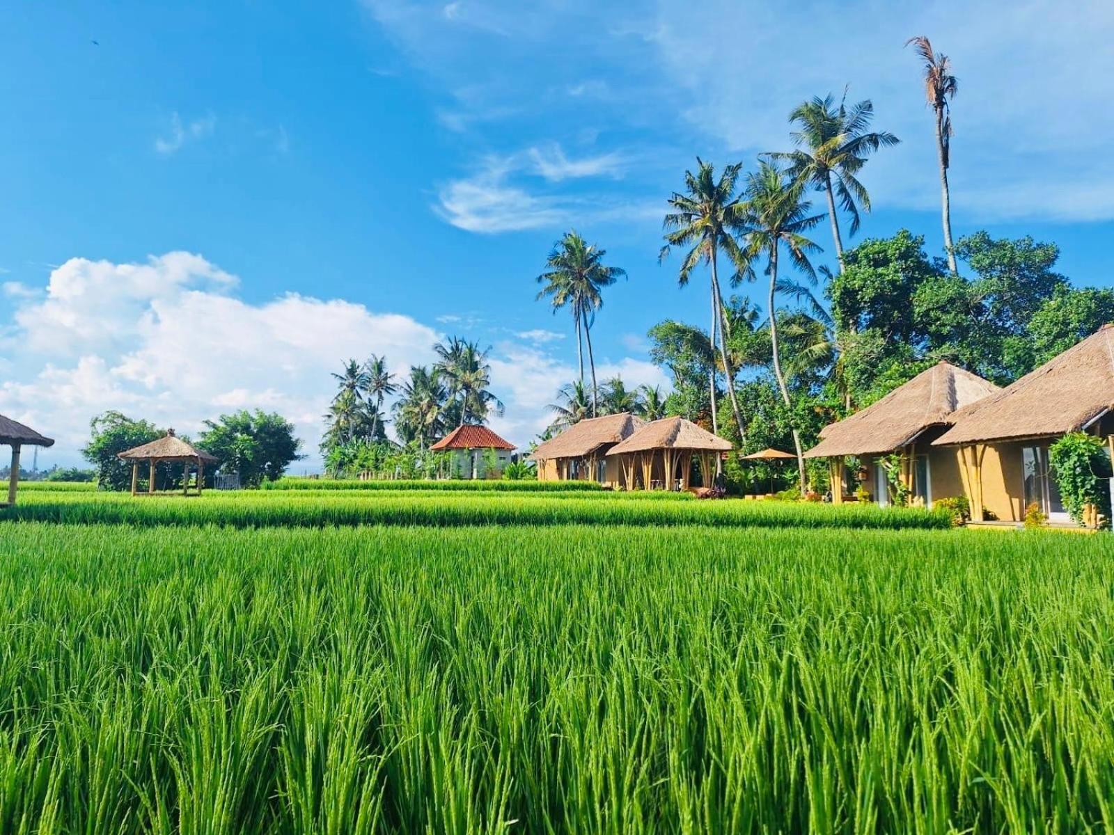 Rumah Kita Ecolodge ウブド エクステリア 写真