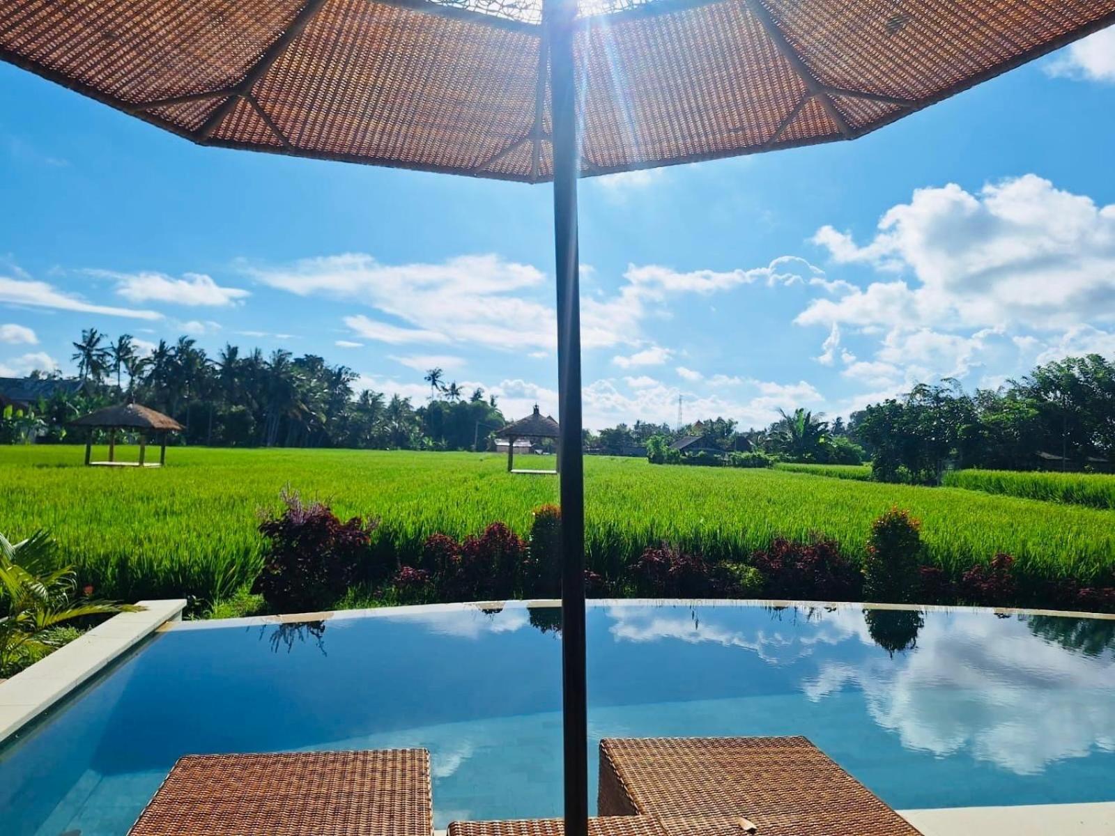 Rumah Kita Ecolodge ウブド エクステリア 写真