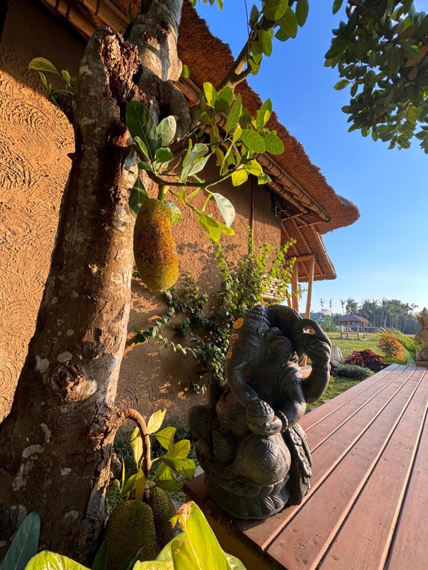 Rumah Kita Ecolodge ウブド エクステリア 写真