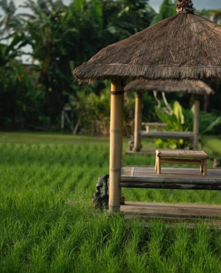 Rumah Kita Ecolodge ウブド エクステリア 写真